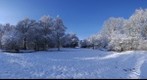 WinterSundaymorning in a park in Haarlem ( The Netherlands )