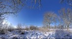 WinterSundaymorning in a park in Haarlem-3
