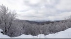 Looking west from Laurel Highlands Hiking Trail