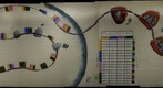 RNA