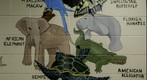 Endangered Species