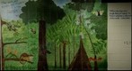 Jungle