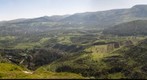 Golan Heights