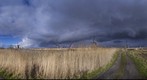 The Windmills of Kinderdijk