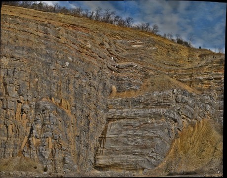 123268-460x360