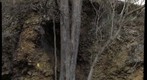 Breccia in Antietam Formation, Swift Shoals