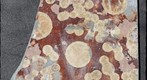 Microbial Sulfate Reduction Spots