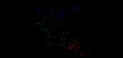 123403-400x189
