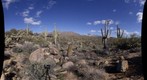 20130212 Four peaks