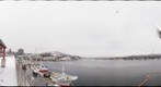 宮城県:気仙沼市:魚市場屋上より:気仙沼湾(2/13)