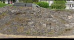 Stromatolites in driveway, Thunder Bay Ontario