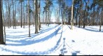 Dairy Bush GigaPan - 180 – February 14 2013
