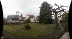 My backyard