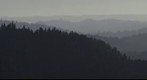Mendocino County Forest