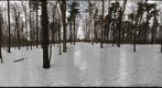 Dairy Bush GigaPan - 181 – February 20 2013 