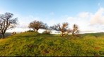 Del Valle Hills