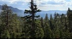 Lake Tahoe