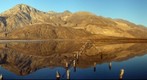 Little Salt Lake morning reflections