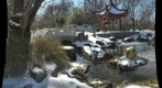 Shaws Garden in the snow