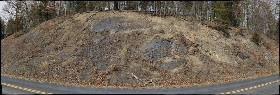 124275-900x306