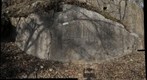 Massanutten sandstone slab with trace fossils
