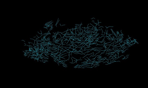 124296-605x360