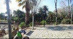 Estanque del parque