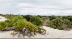Cumberland Beach