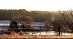 Winter Vista