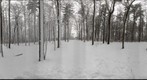 Dairy Bush GigaPan - 182 – February 27 2013 
