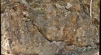 "Breccia Wall," Antietam Formation, SE Boyce quadrangle, Virginia