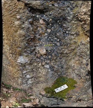 124457-309x360