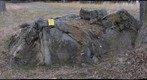 Folds in Upper Conococheague 