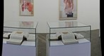 Odires Mlaszho, 30a Bienal, SP