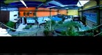 Kiwi-Pools 2