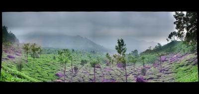 12478-400x189