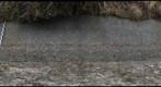 Calvert Formation, Scientists' Cliffs, Maryland (#3 of 8)