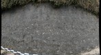 Calvert Formation, Scientists' Cliffs, Maryland (#4 of 8)