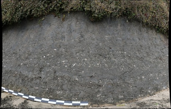 124828-563x360