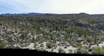 Desert in full bloom. Ruins of  Santa Maria de Los Angles Mision hidden in an oazis near Cataviña, Baja, Mexico