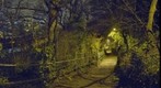 Fun at 0°C and 12800ISO