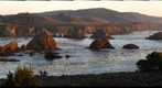 Golden Coast