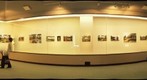 福島県:本宮市:白岩:堤崎:双葉ばら園写真展②:(3/5)