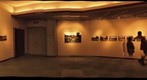 福岛県：本宫市：白岩：堤崎：双葉ばら園写真展③