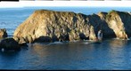 Dinosaur Rock