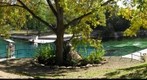 Barton Springs in the Fall