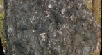 Waterfall Formation boulder