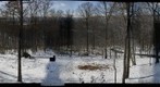 Front Yard, March 7, 2013