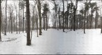 Dairy Bush GigaPan - 184 – March 13 2013 