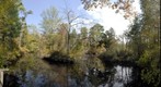Rancocas Creek, New Lisbon, NJ